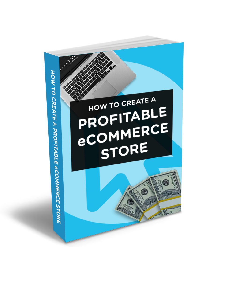 eBook – how to create a profitable ecommerce store – website shop demo ...